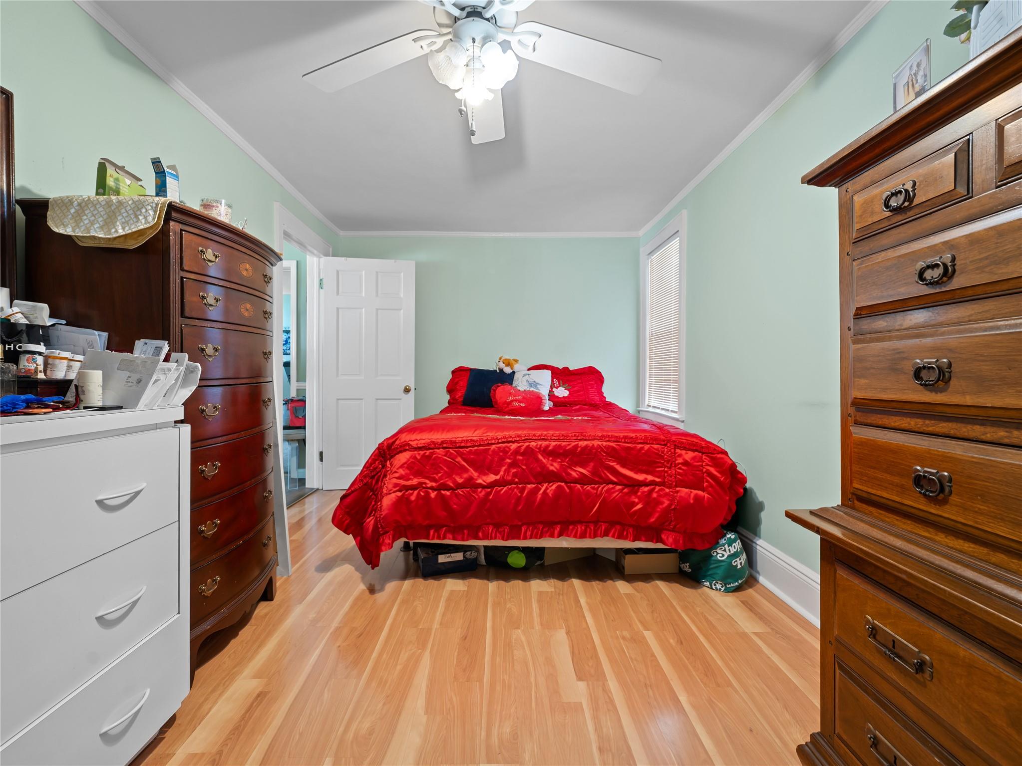 8 Savoy Avenue, Elmont, New York image 13
