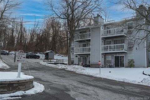 8 Lexington Hill 5 Harriman NY 10926