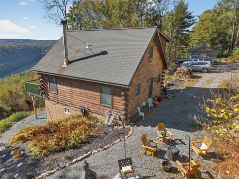 Photo of 129 Hallock Road, Barryville, NY 12719 (MLS # 929224) Photo of 129 Hallock Road, Barryville, NY 12719 (MLS # 929224)