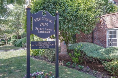 1815 Palmer Avenue 2V Larchmont NY 10538