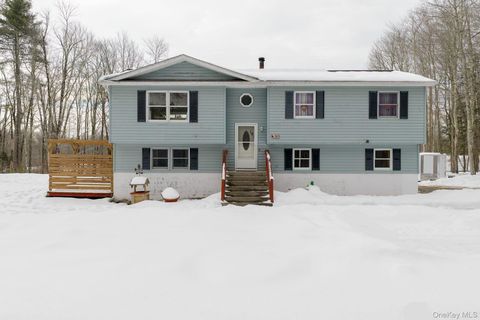 163 Cypert Road Woodbourne NY 12788