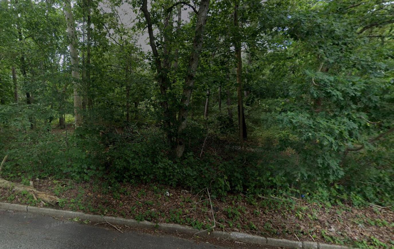 West Side Of Pine Street, Port Jefferson Station, New York image 4