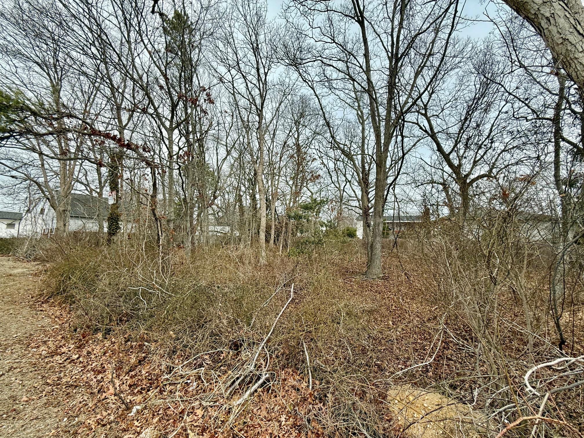 Mastic Road, Mastic Beach, Florida image 3