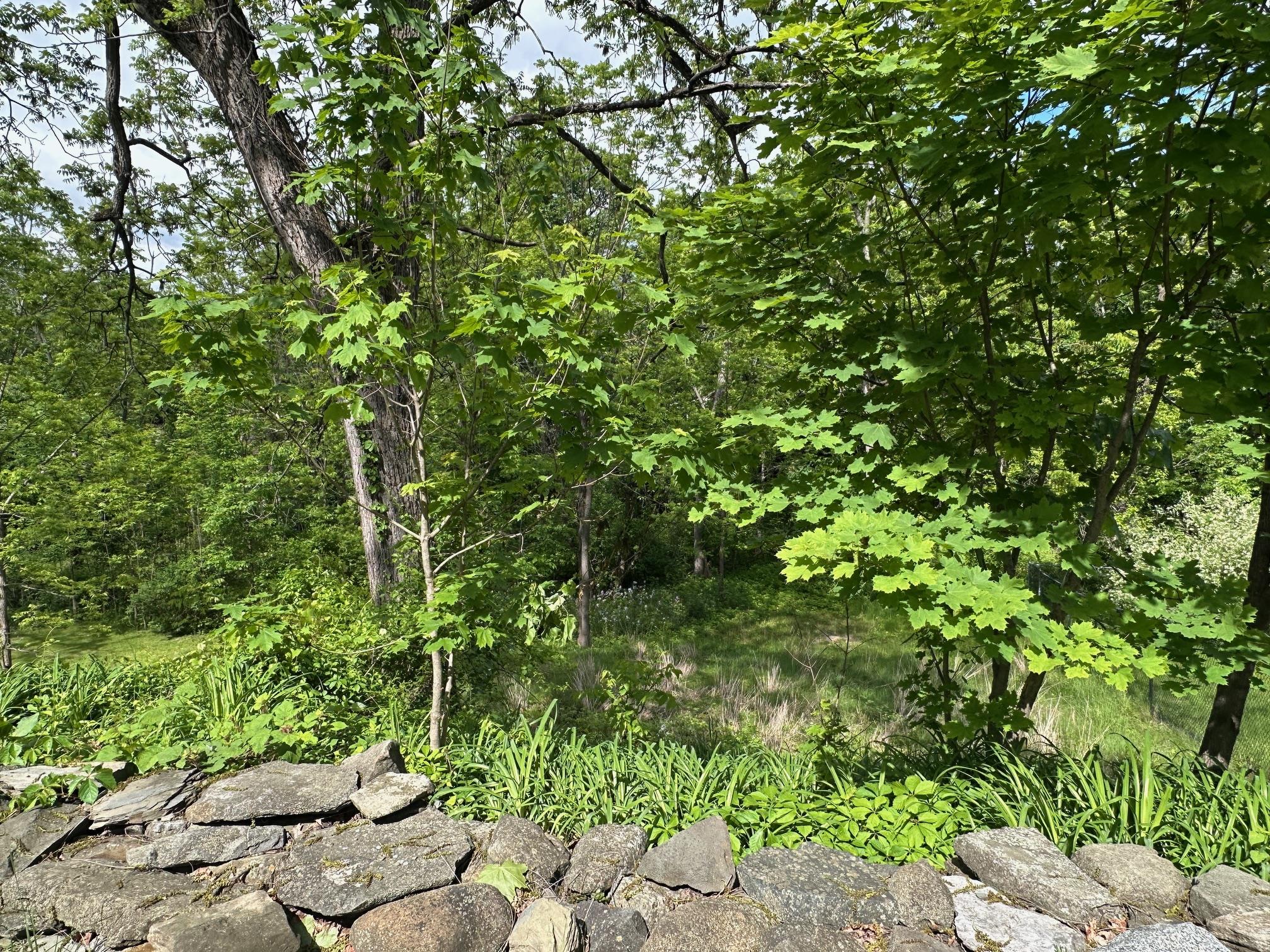 19 North Road, Highland, New York image 21