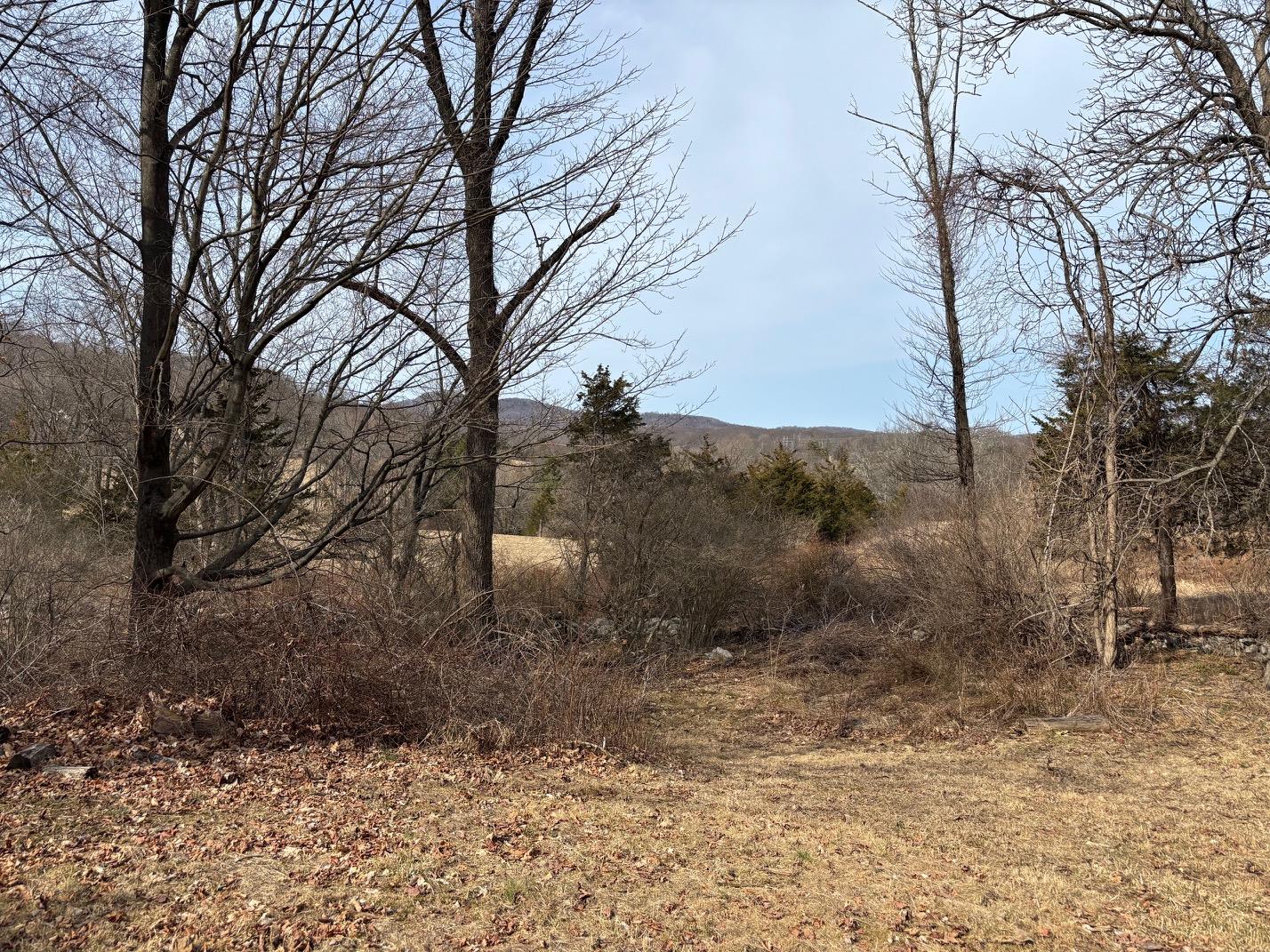 261 W Park Terrace, Monroe, New York image 3