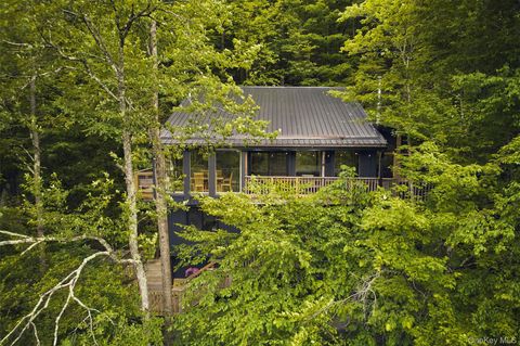 Homes For Sale - 82 Cooks Brook Road<br/> Roscoe, NY 12776