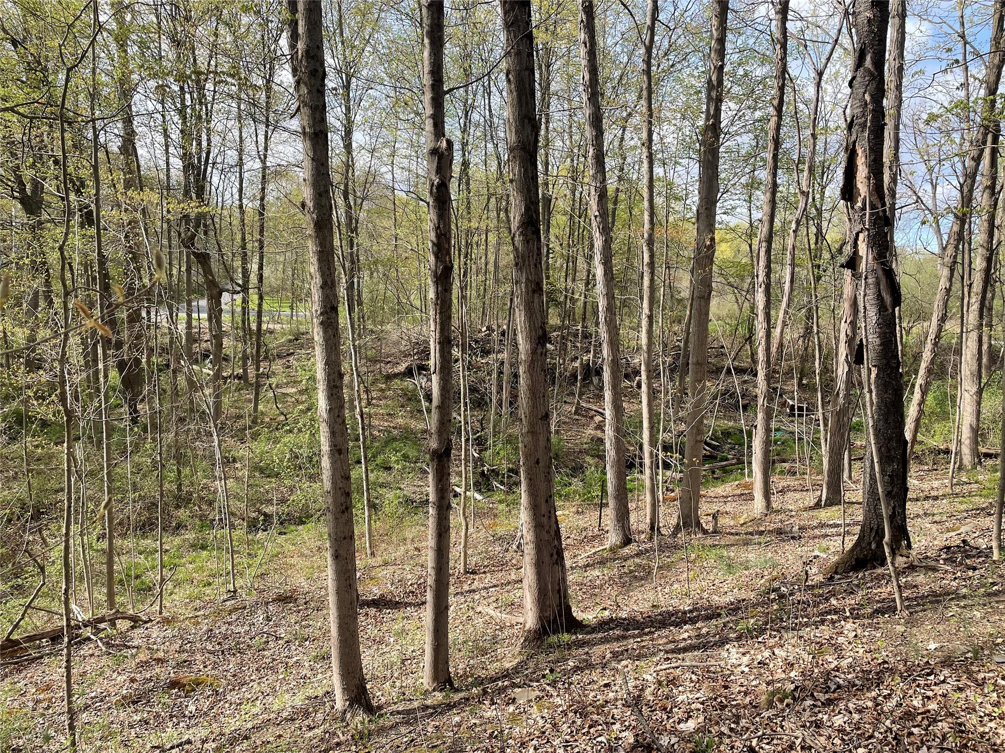 24 Beck Road, Poughkeepsie, New York image 8