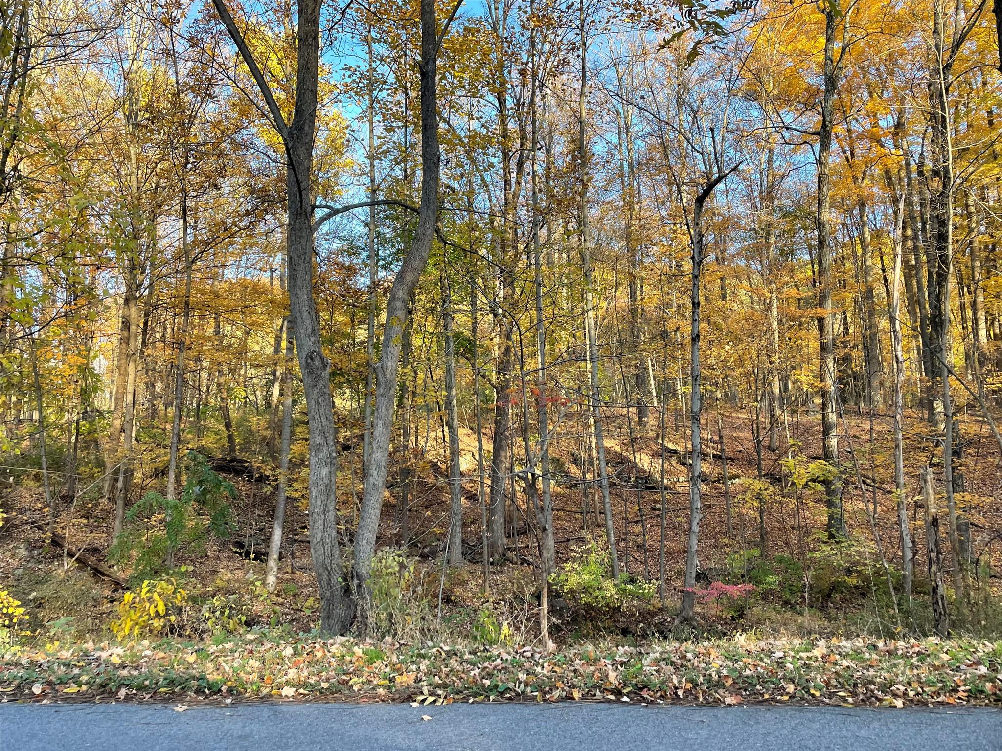 24 Beck Road, Poughkeepsie, New York image 7