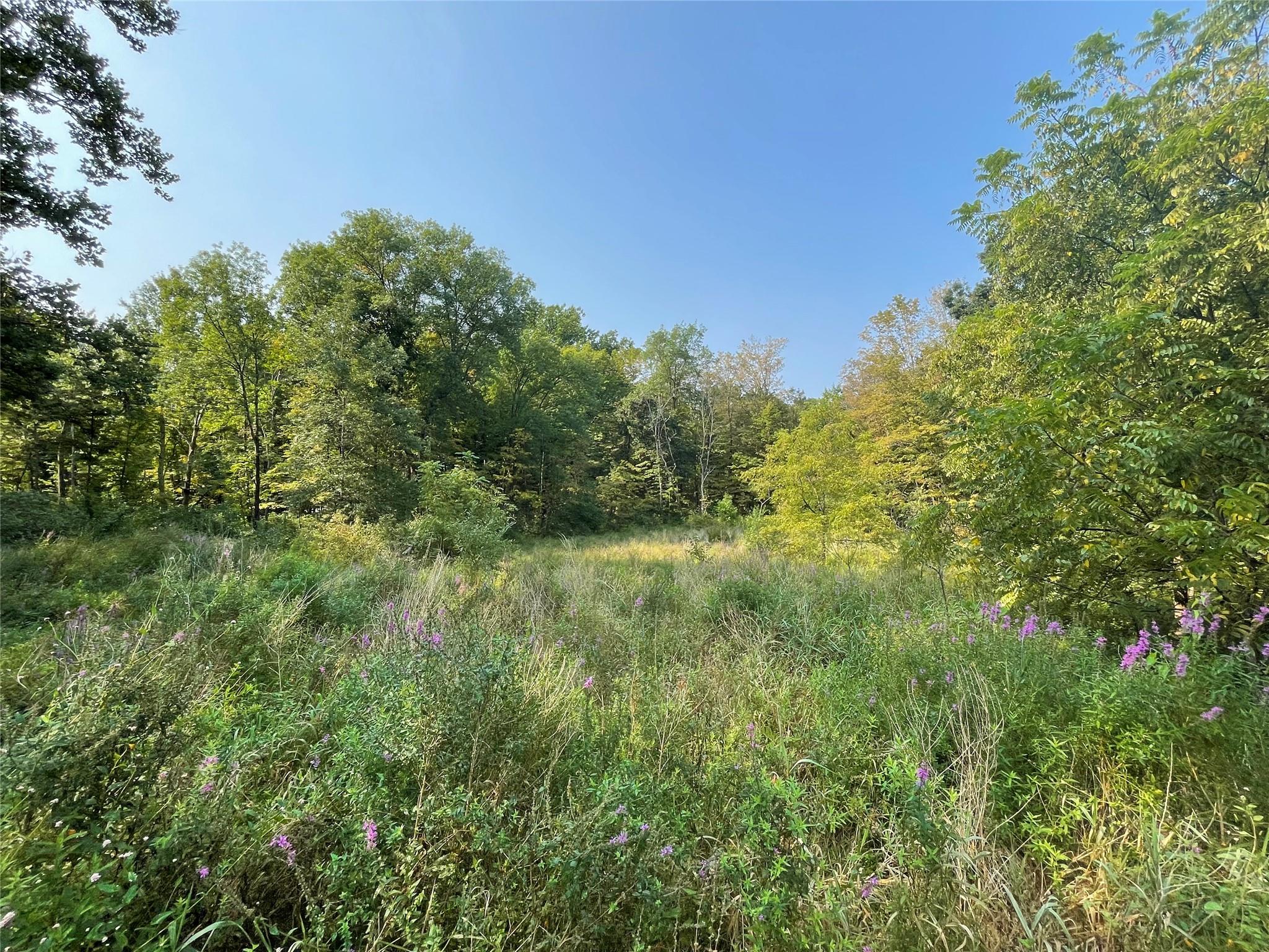 24 Beck Road, Poughkeepsie, New York image 5
