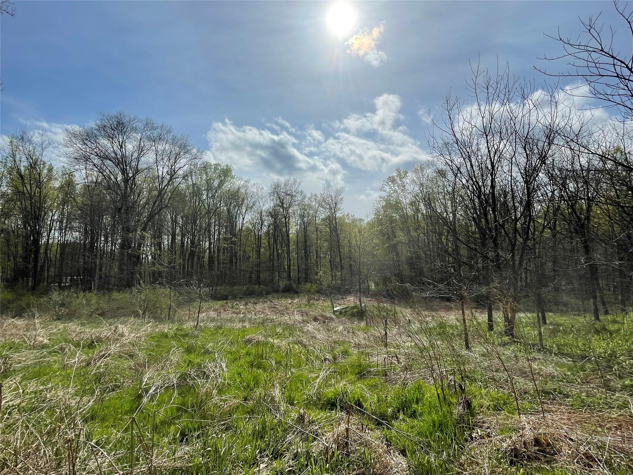 24 Beck Road, Poughkeepsie, New York image 4