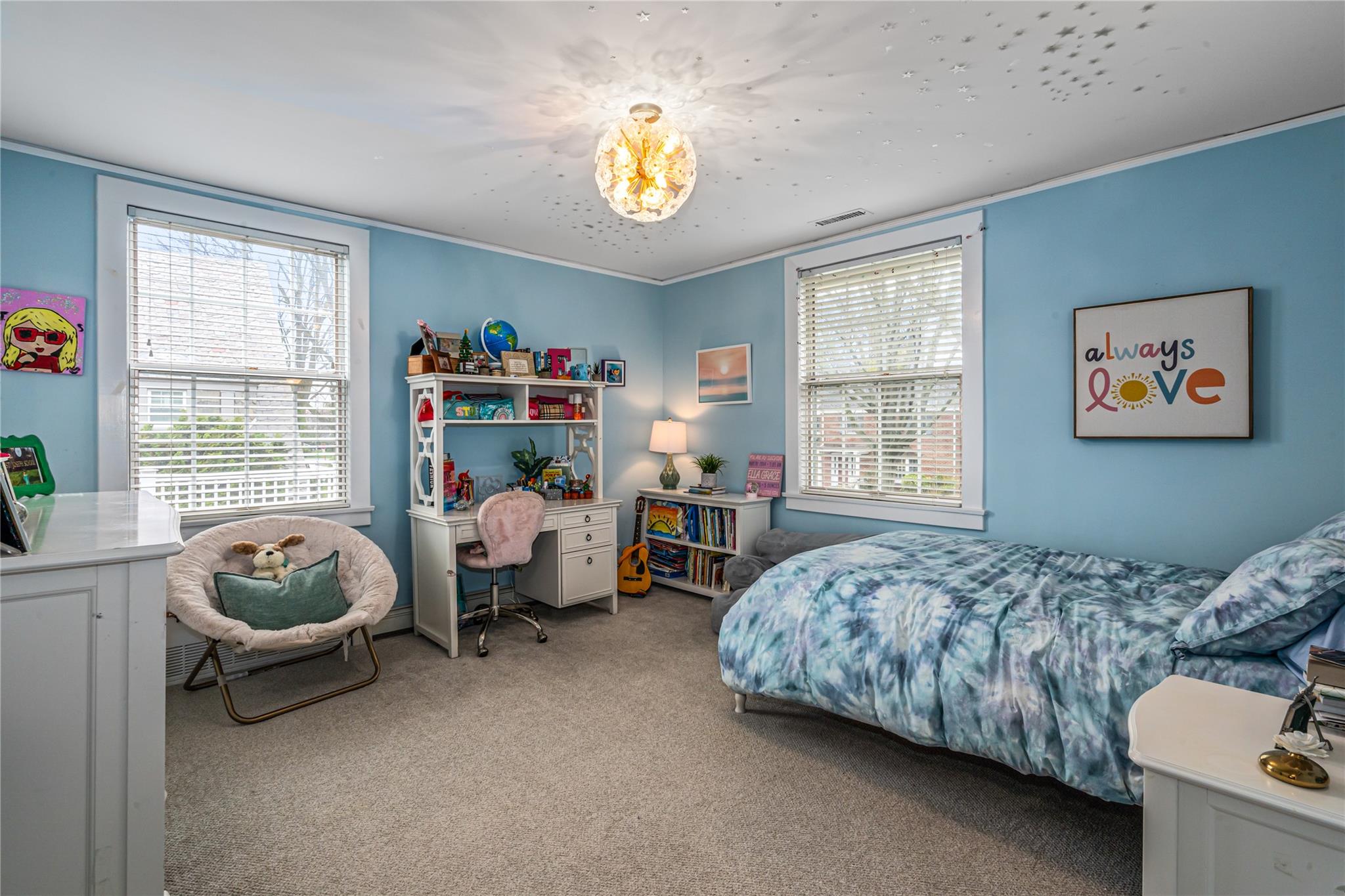 118 Euston Road, Garden City, New York image 25