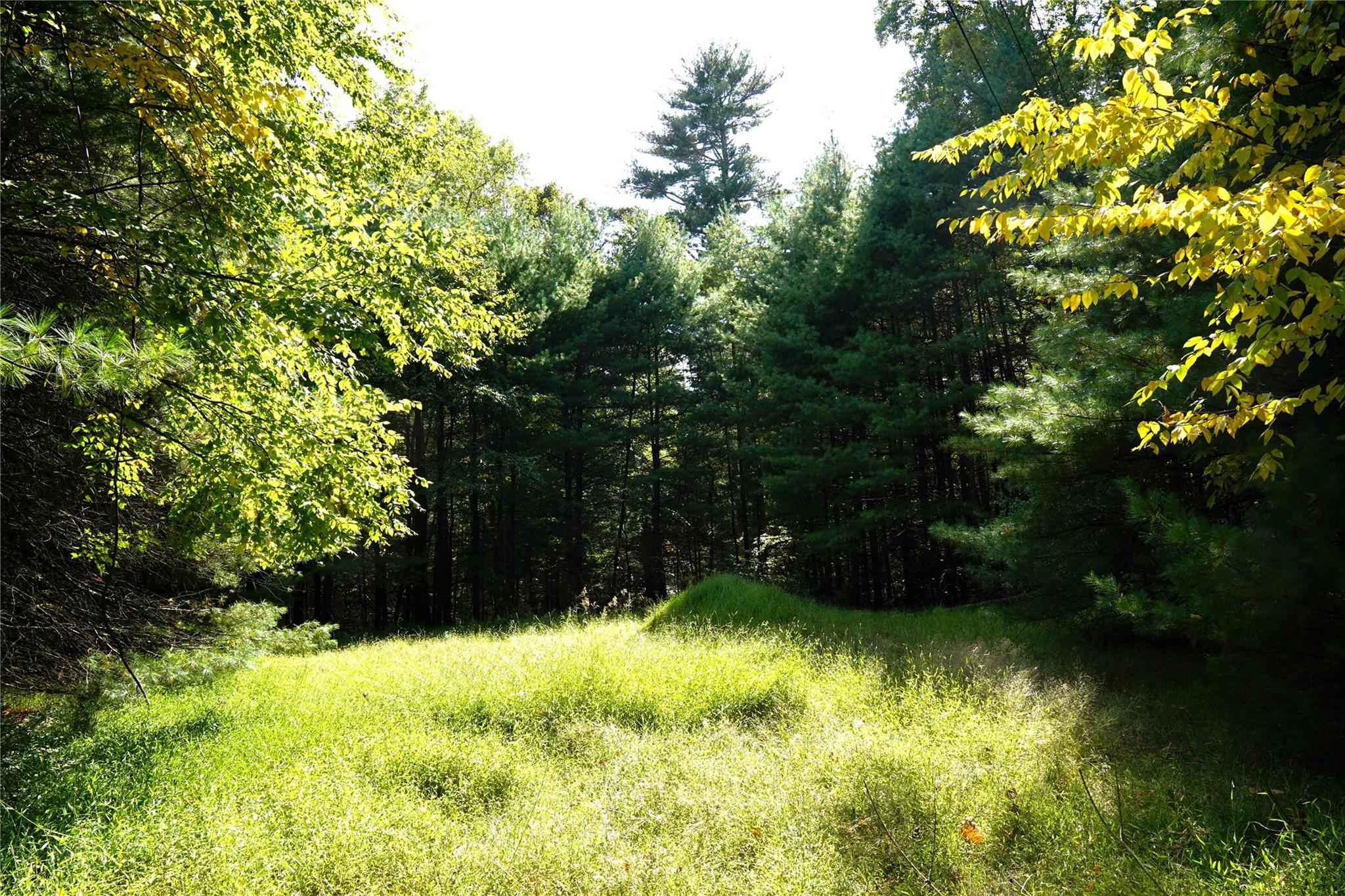 Lot 4 Hawk Ridge Court, Glen Spey, New York image 1