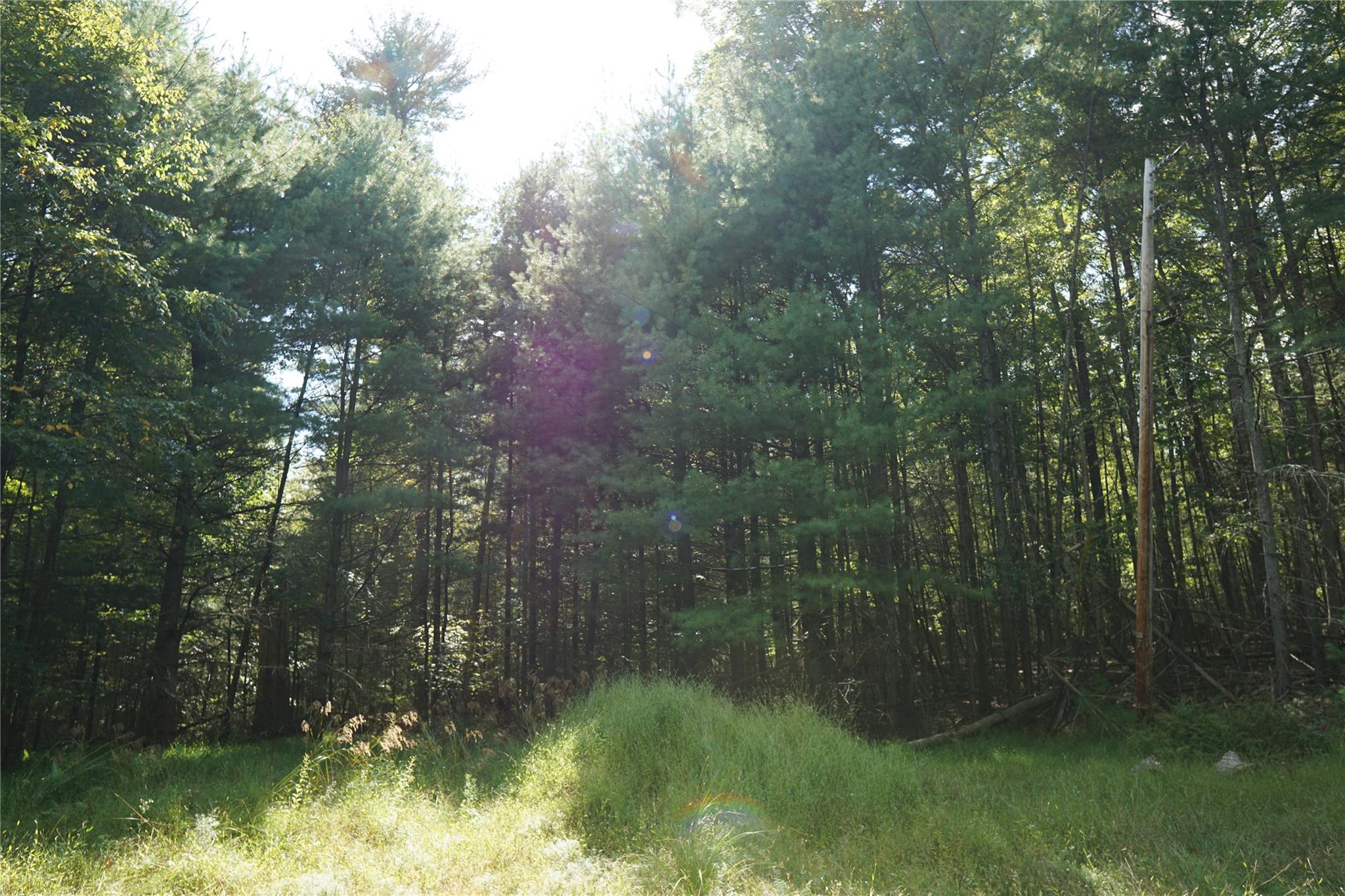 Lot 4 Hawk Ridge Court, Glen Spey, New York image 5