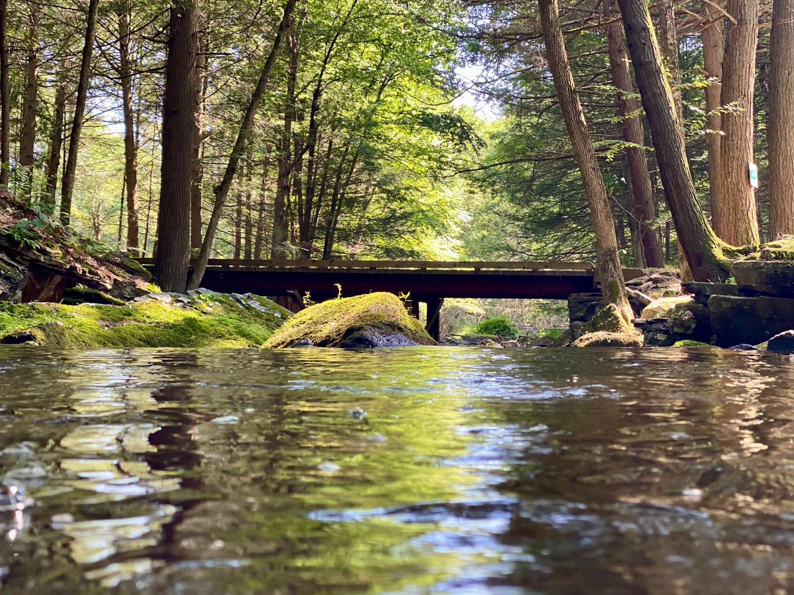 367 Black Forest Road