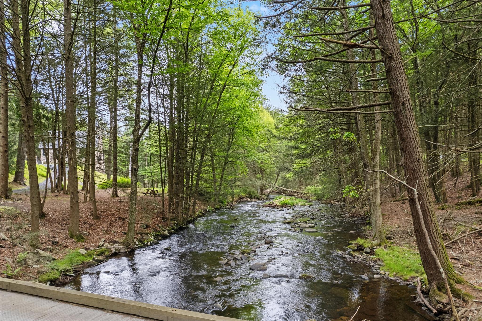 367 Black Forest Road