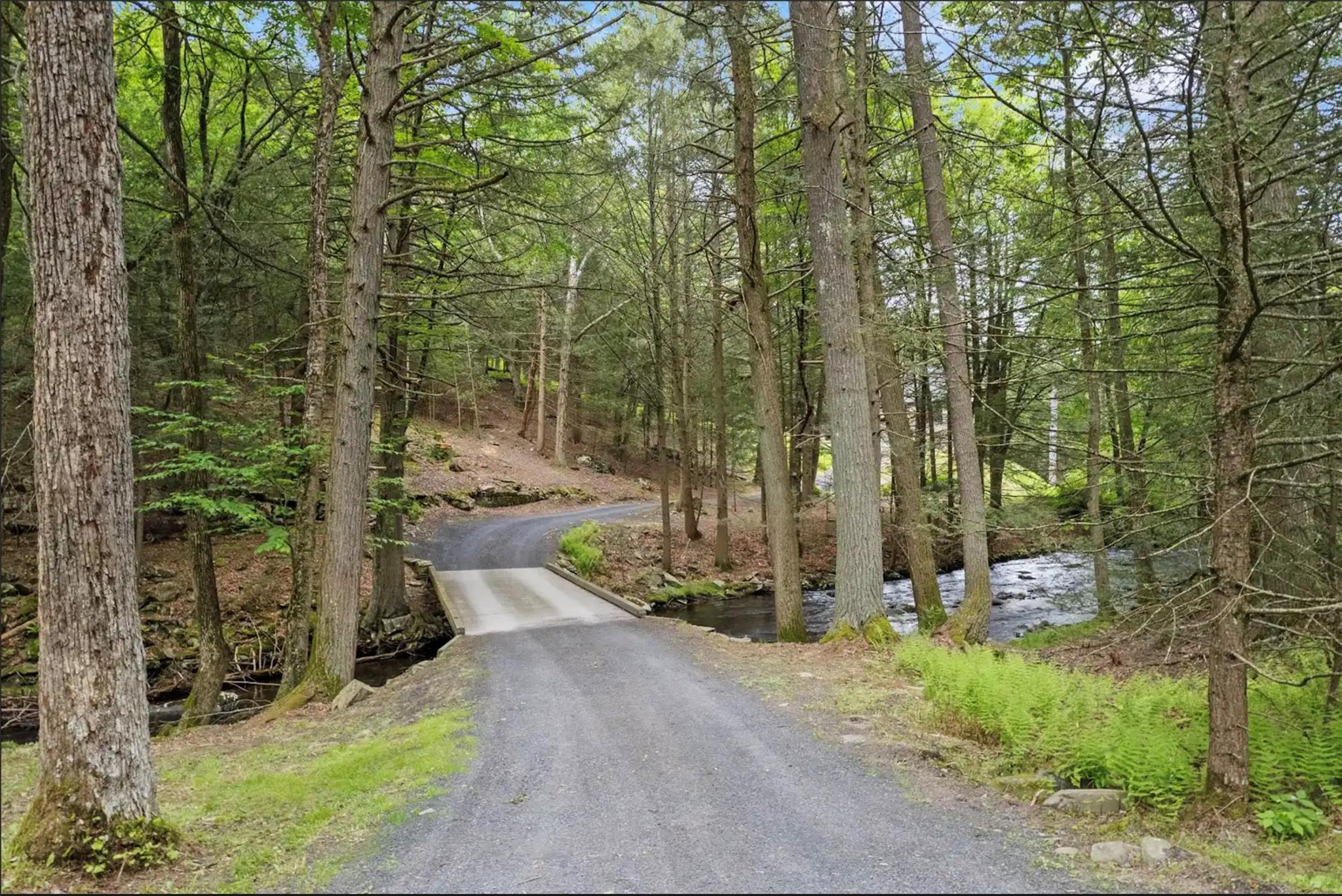 367 Black Forest Road