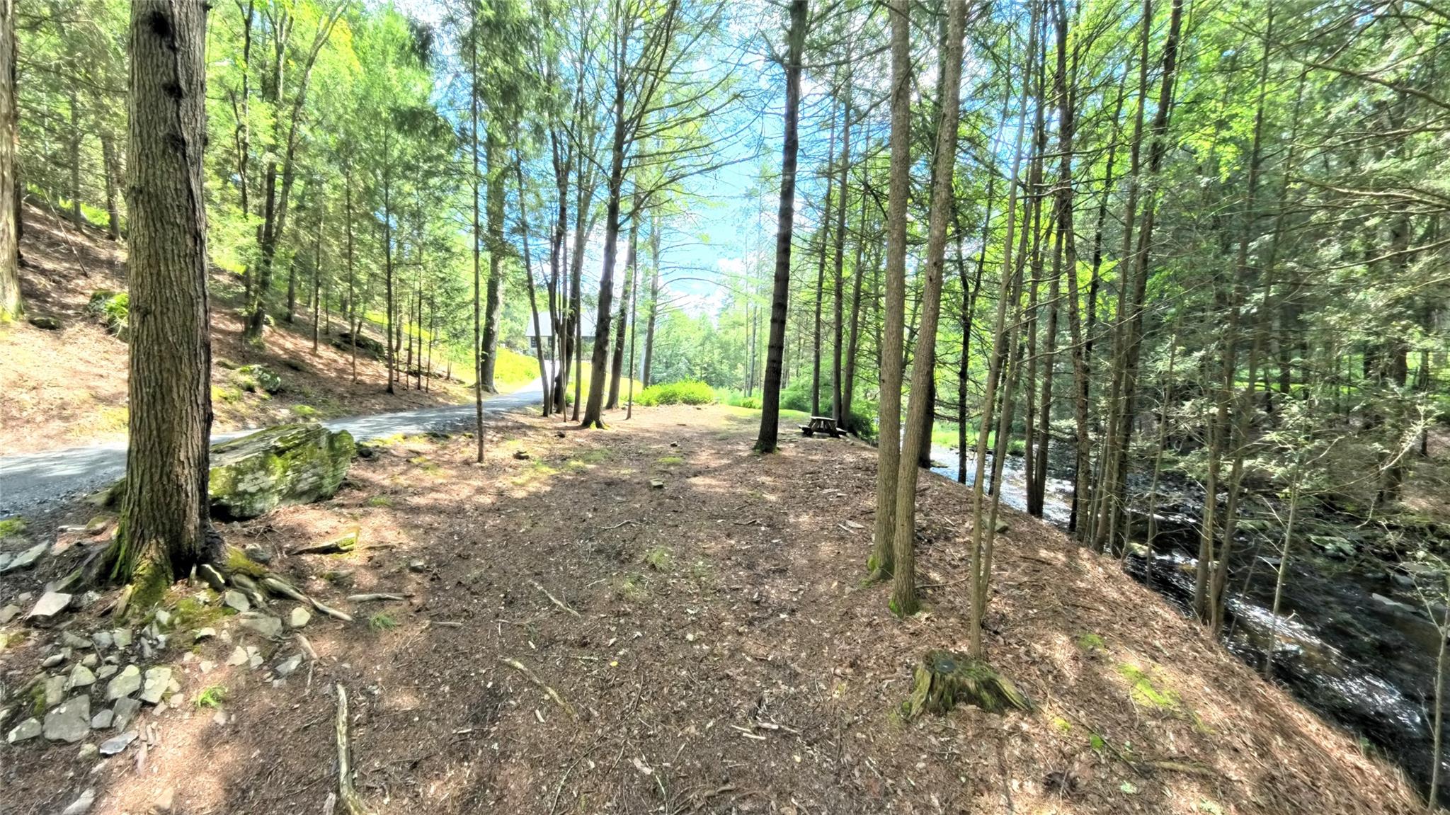 367 Black Forest Road