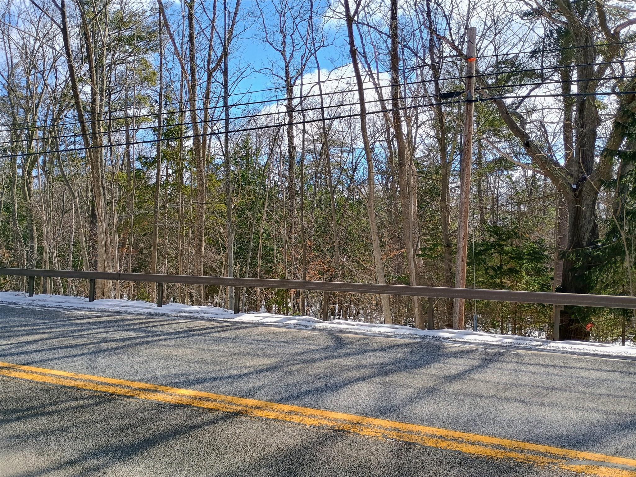 00 State Route 10 Drive, Stamford, New York image 4