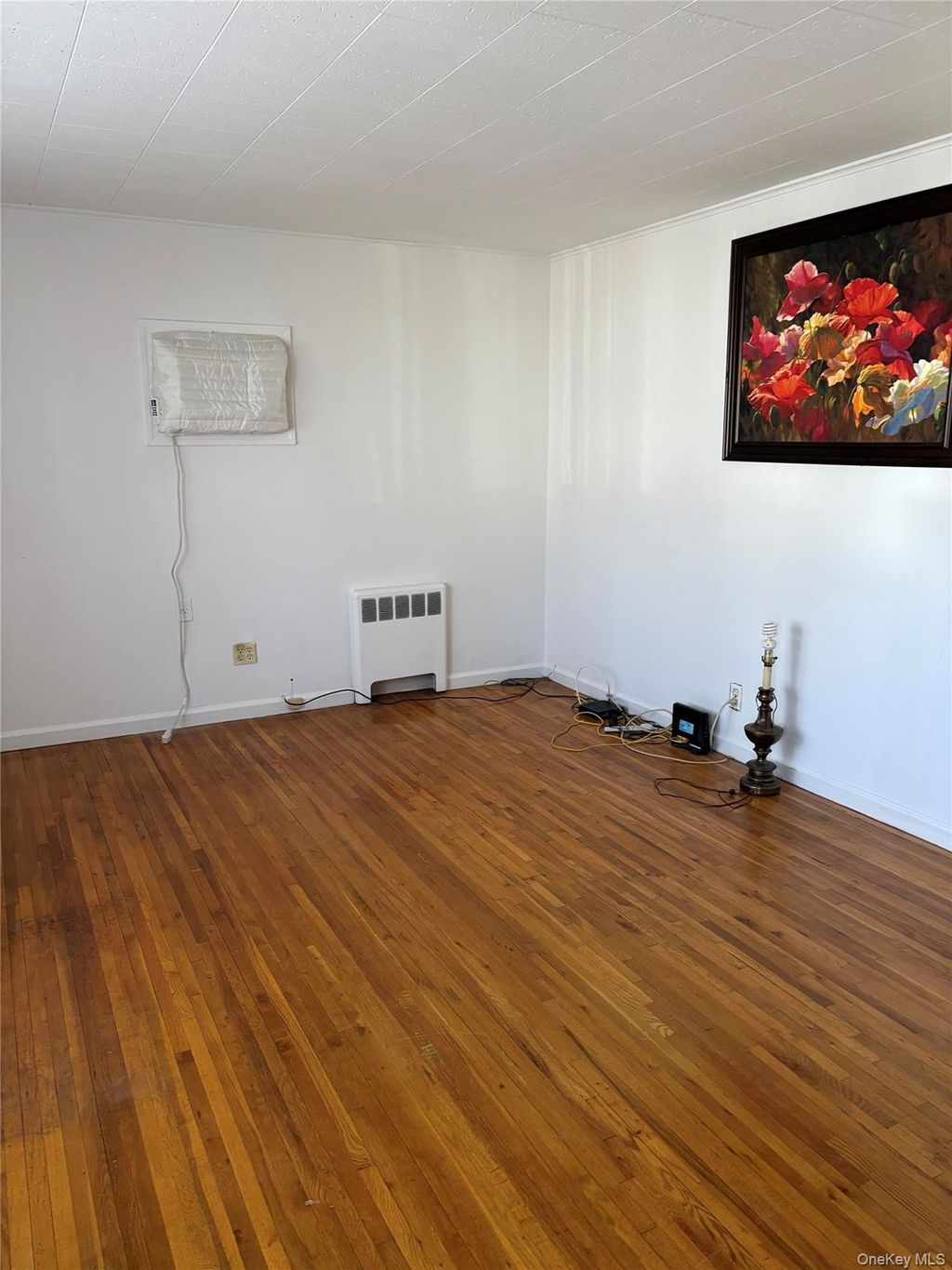 Photo of 9 Northcote Road, Westbury, NY 11590 (MLS # 977964)