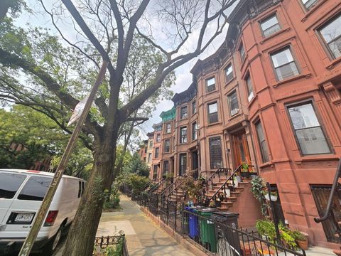 477 Halsey Street Brooklyn NY 11233