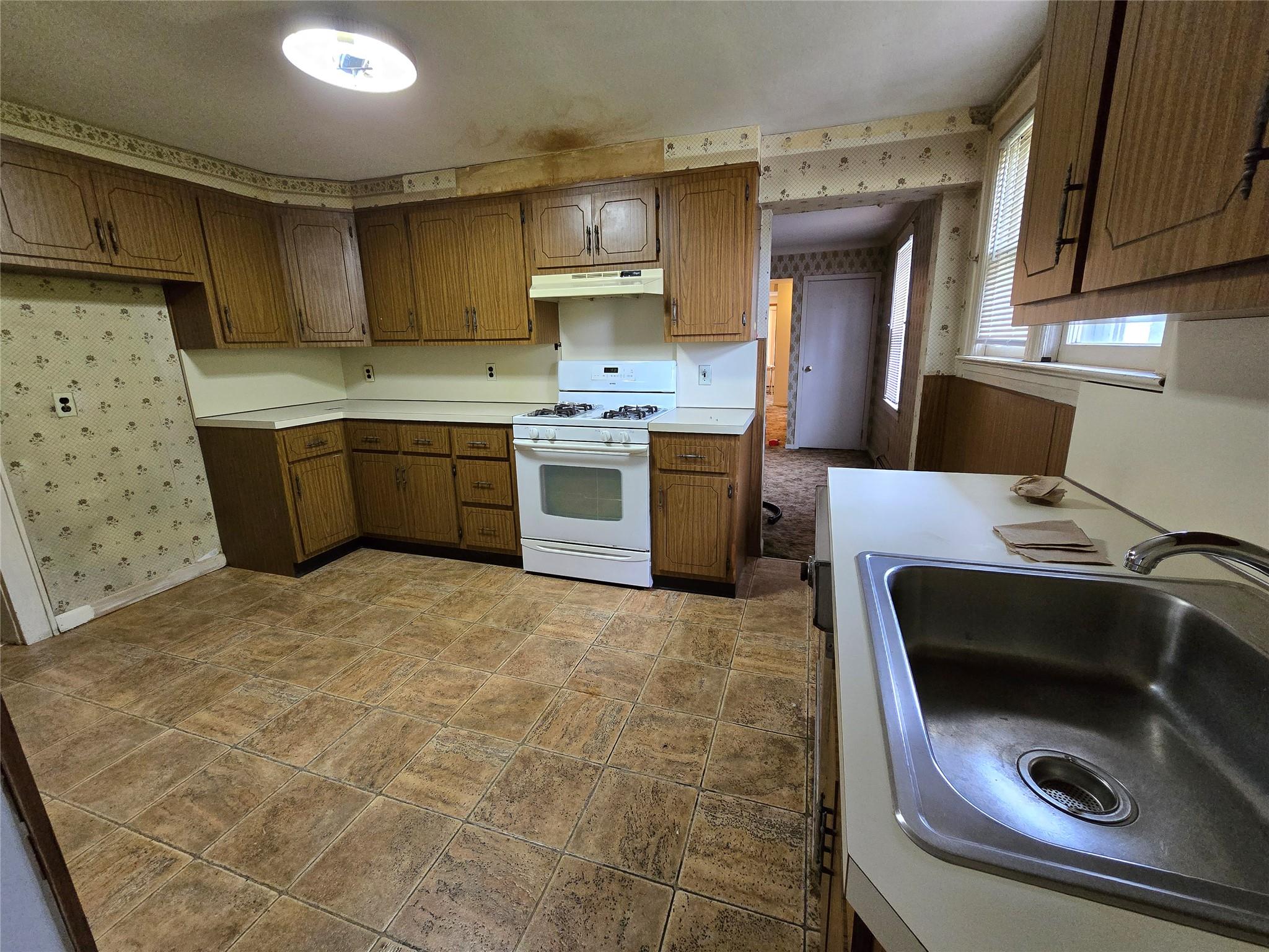 229 Rushmore Avenue, Carle Place, New York image 9