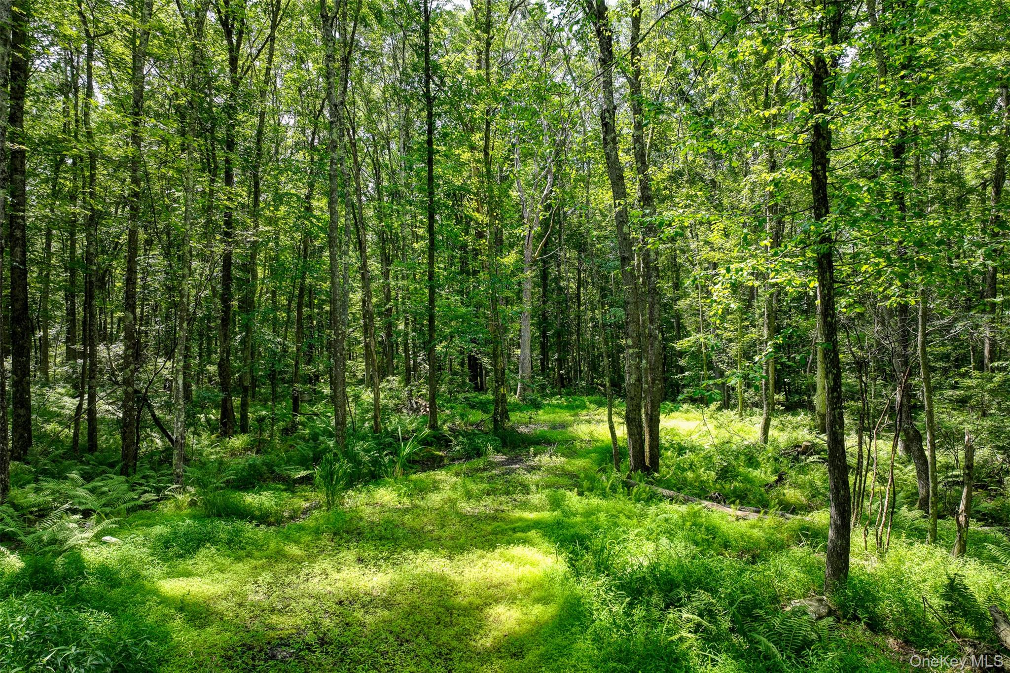 Lot 69 Cushetunk Drive