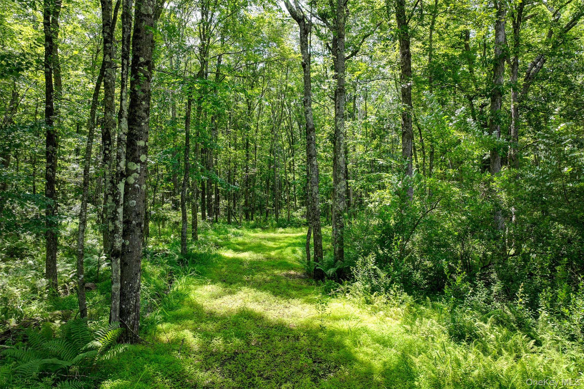 Lot 69 Cushetunk Drive