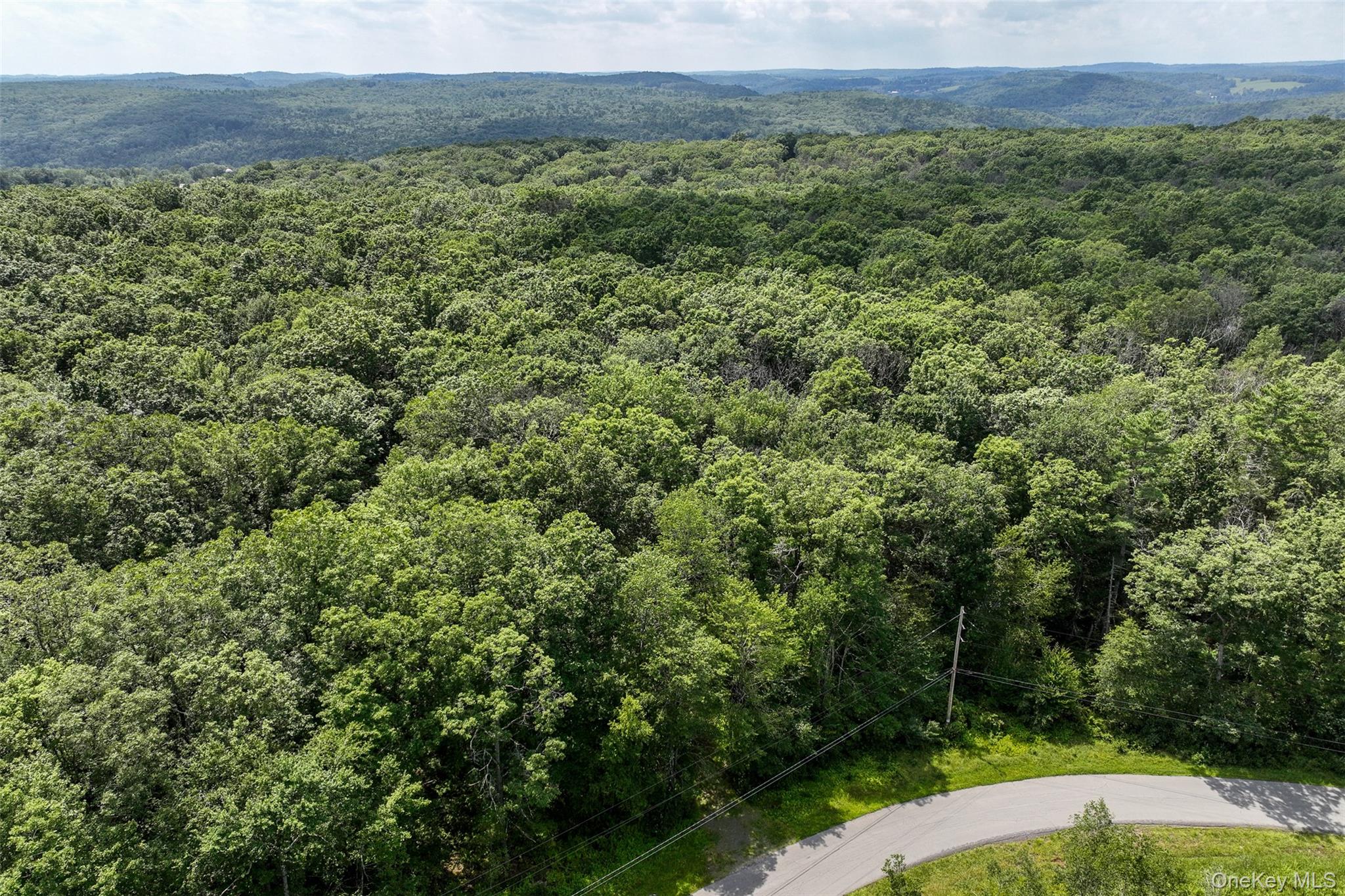 Lot 69 Cushetunk Drive