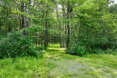 Lot 69 Cushetunk Drive Cochecton NY 12726