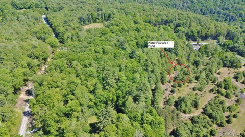 Vacant Land For Sale - *** Marsh Rd<br/> Sullivan County, Glen Wild, NY 12733