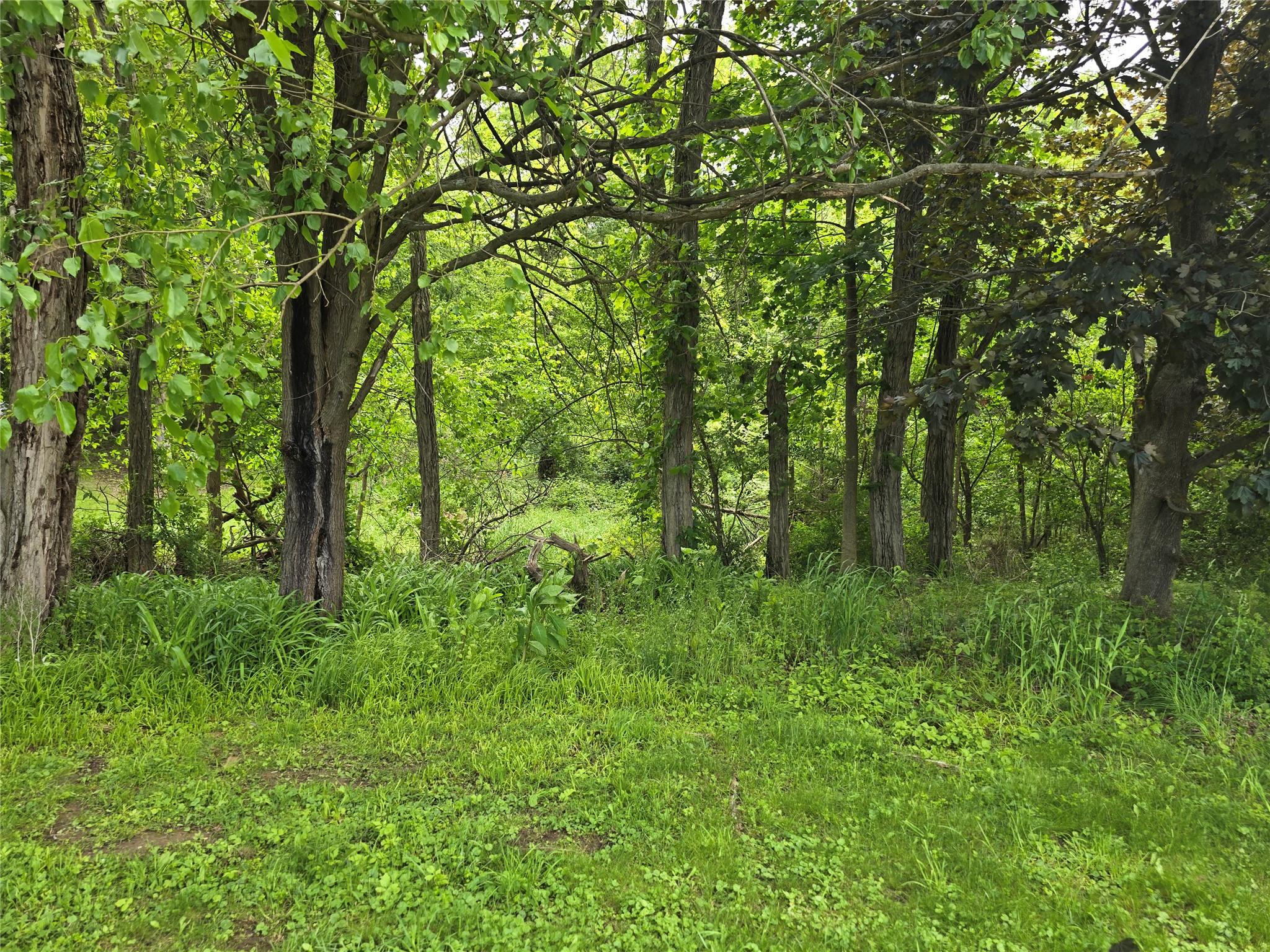 Photo 1 of 74 Sandy Hollow Rd, Southampton, NY, $2,625,000, Web #: 871881
