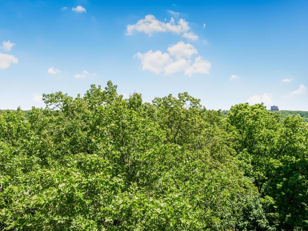 5550 Fieldston Road #8D, Bronx, New York image 19