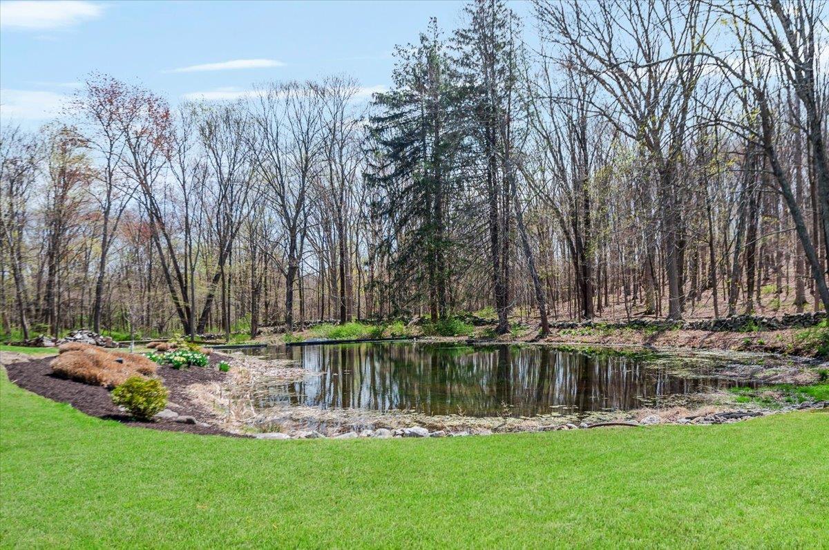 230 Route 202, Somers, New York image 39