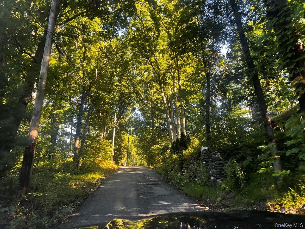 29 Hammerhead Trail