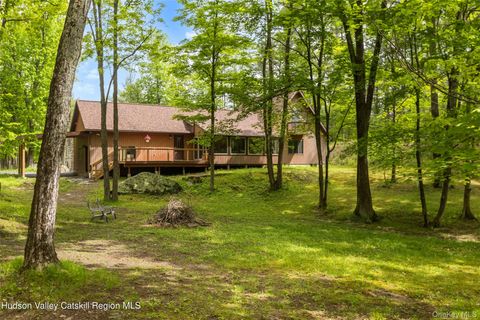 Homes For Sale - 48 Deer Park Road<br/> Cairo, NY 12473