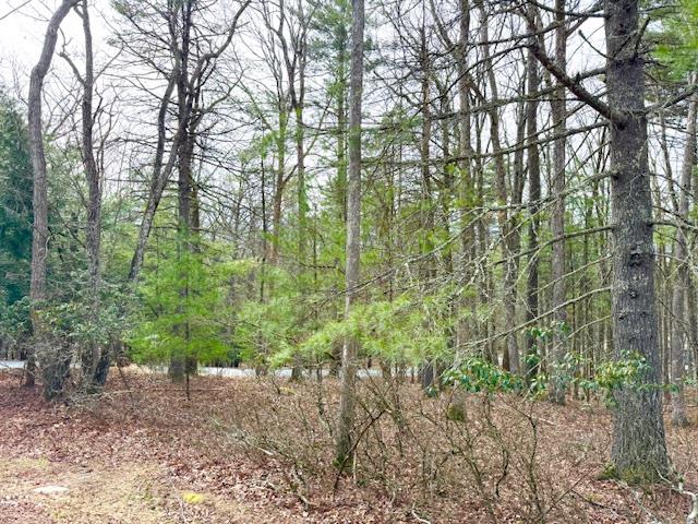 Lot 14 Magnolia Drive, Glen Spey, New York image 1