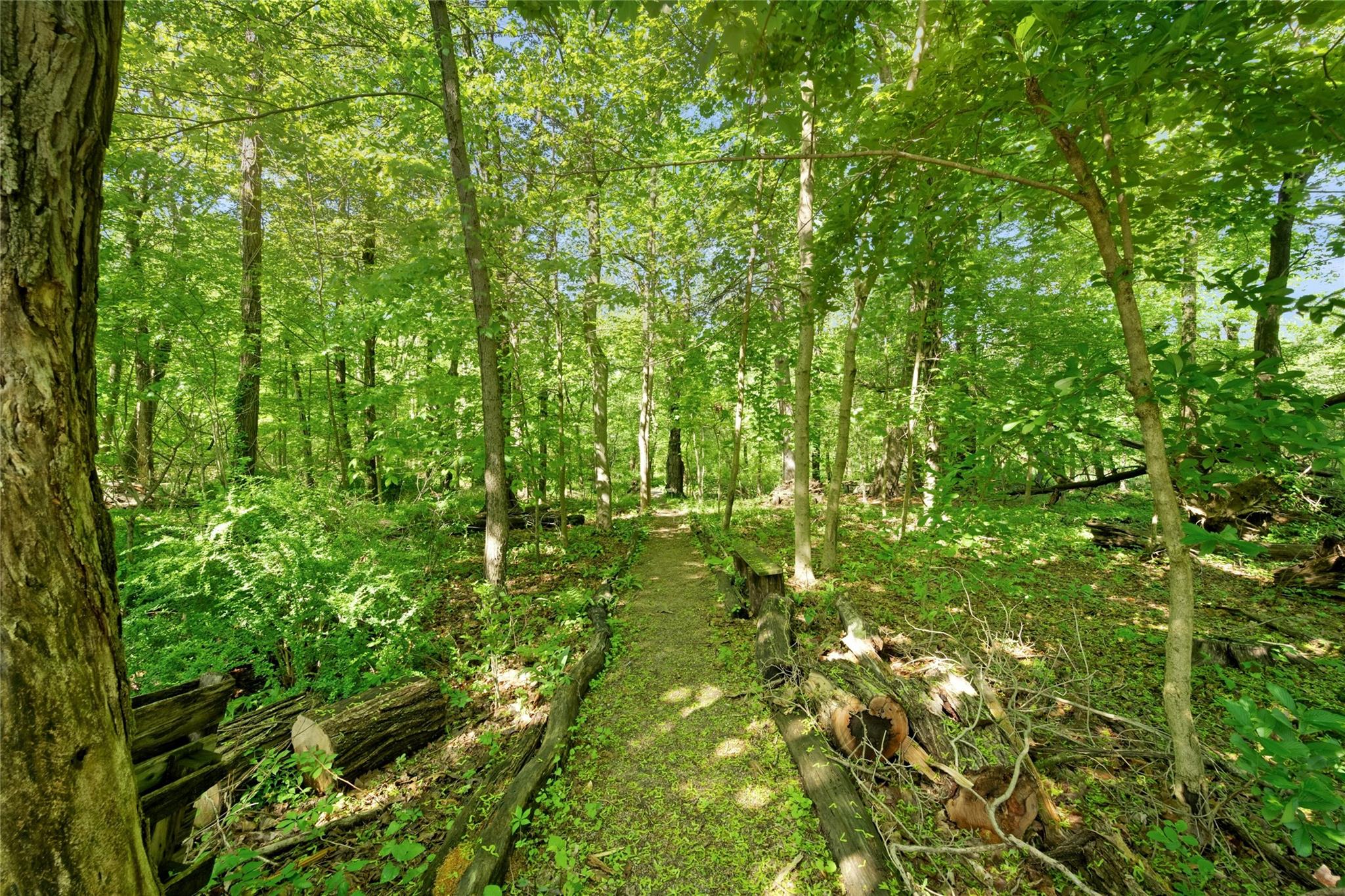 77 Greenwood Lane, White Plains, New York image 38