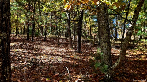 Photo of Chestnut Street W, Wurtsboro, NY 12790 (MLS # 1064110)
