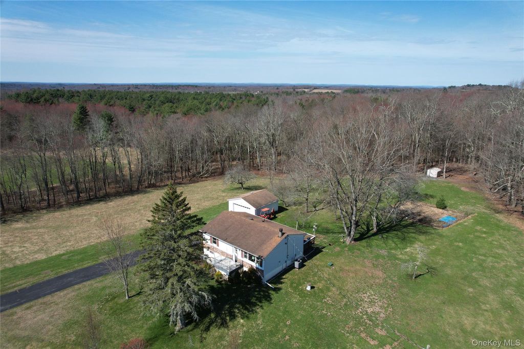 Photo of 62 Pucky Huddle Road, Bethel, NY 12720 (MLS # 983902)