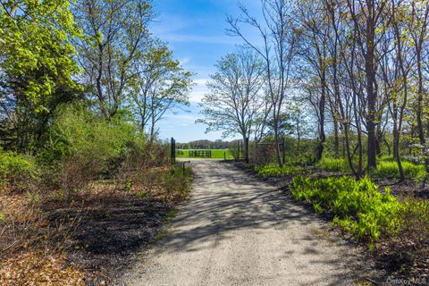 Vacant Land For Sale - 3123 & 3595 Skunk Lane<br/> Cutchogue, NY 11935
