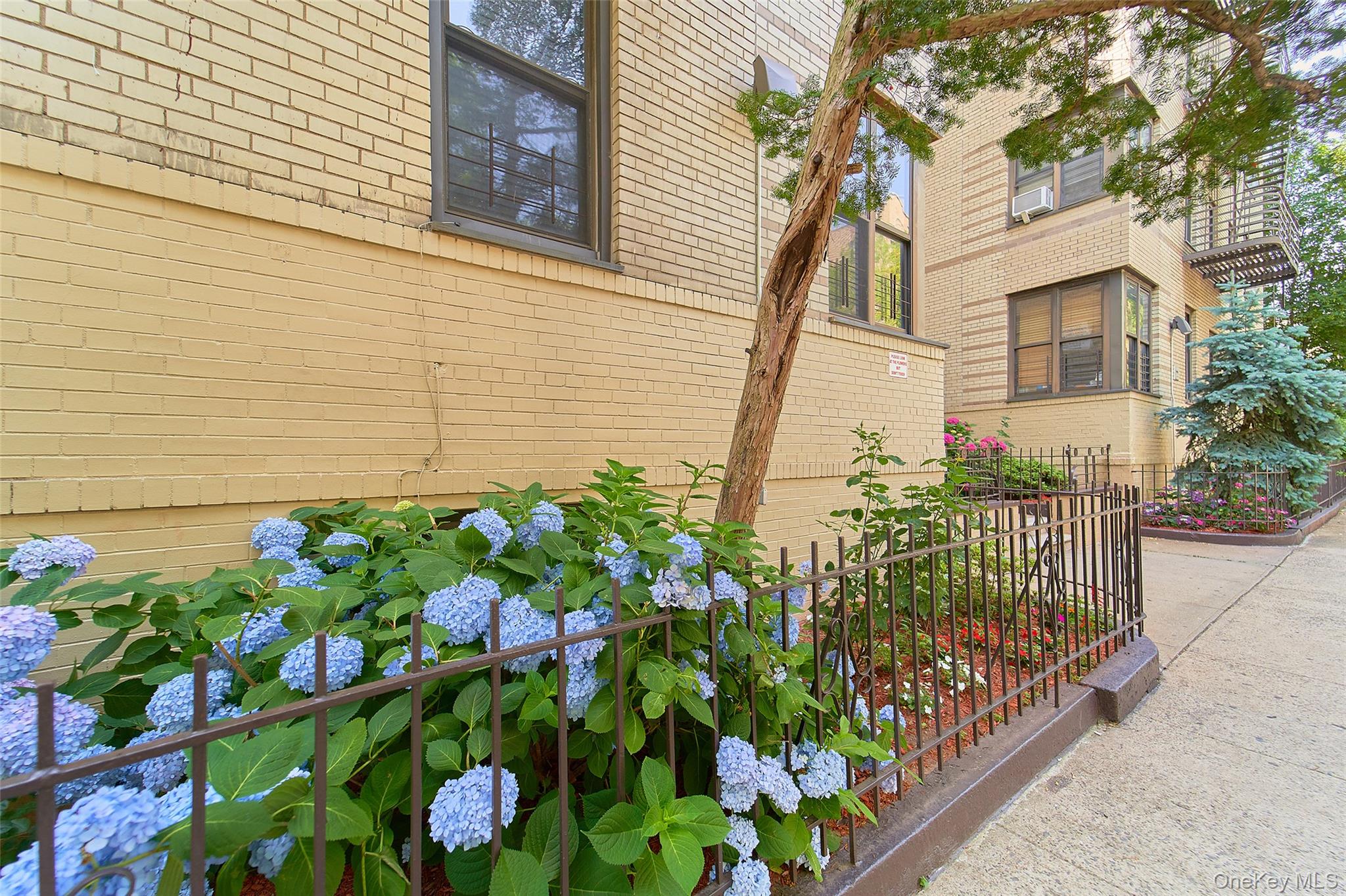 2962 Decatur Avenue 4D