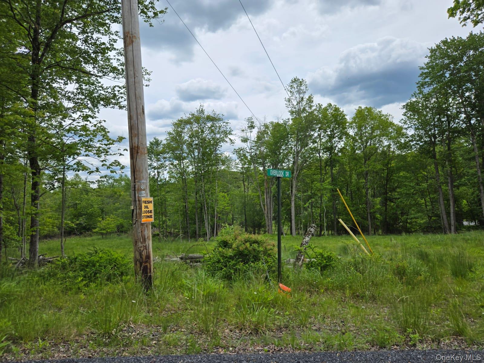 Overlook Avenue