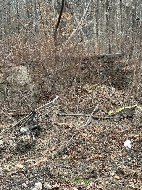 Vacant Land For Sale - 1501 Us Route 209<br/> Cuddebackville, NY 12729