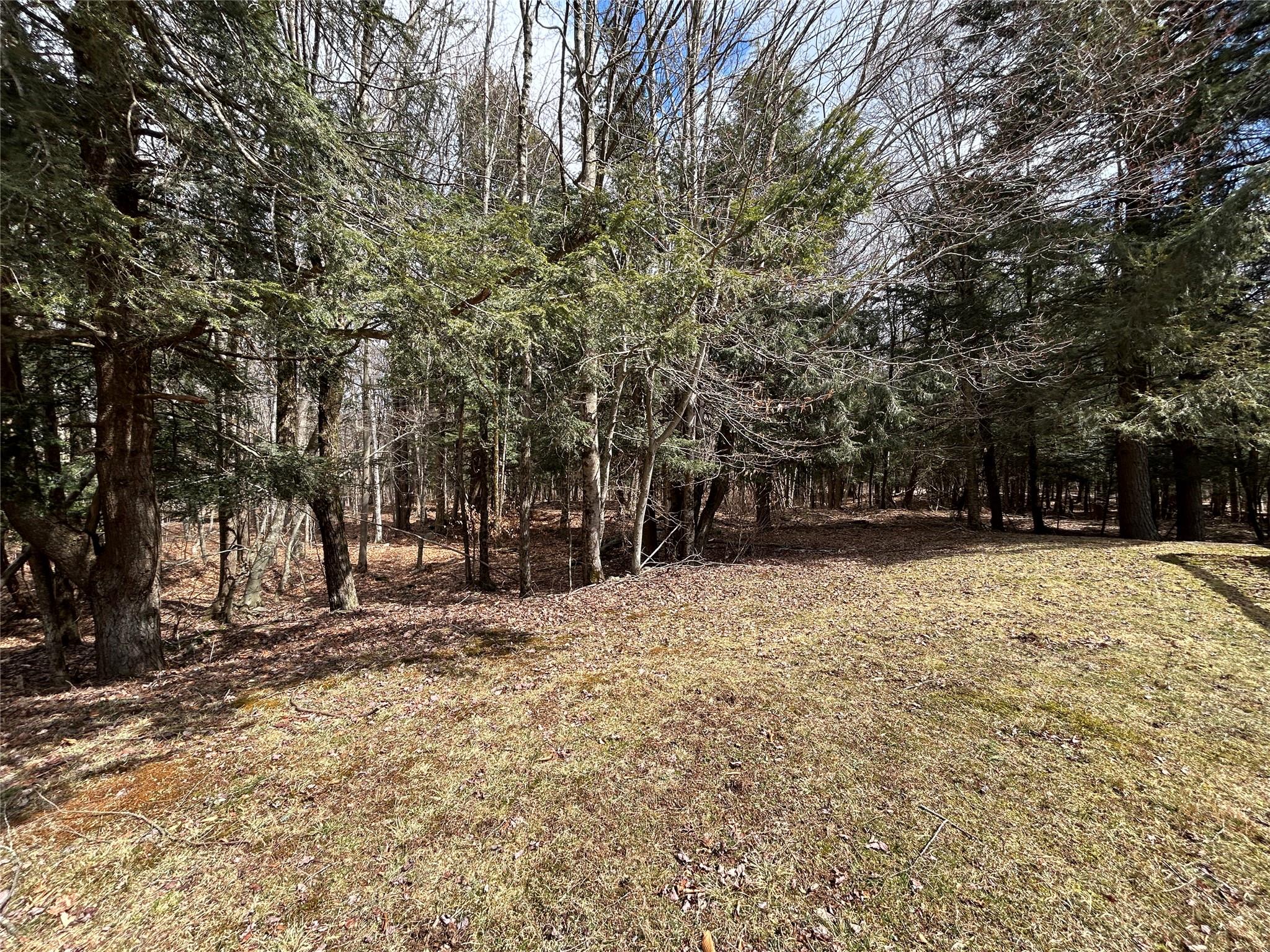 123 Schleiermacher Road, Livingston Manor, New York image 5