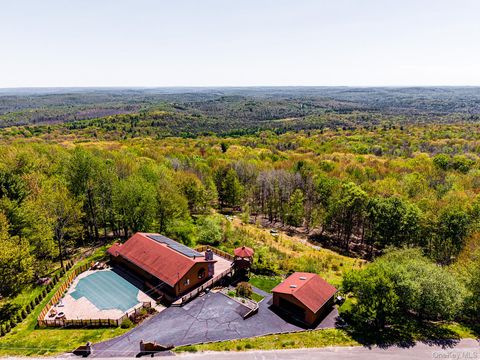 Homes For Sale - 203 Skyline Drive<br/> Woodbourne, NY 12788