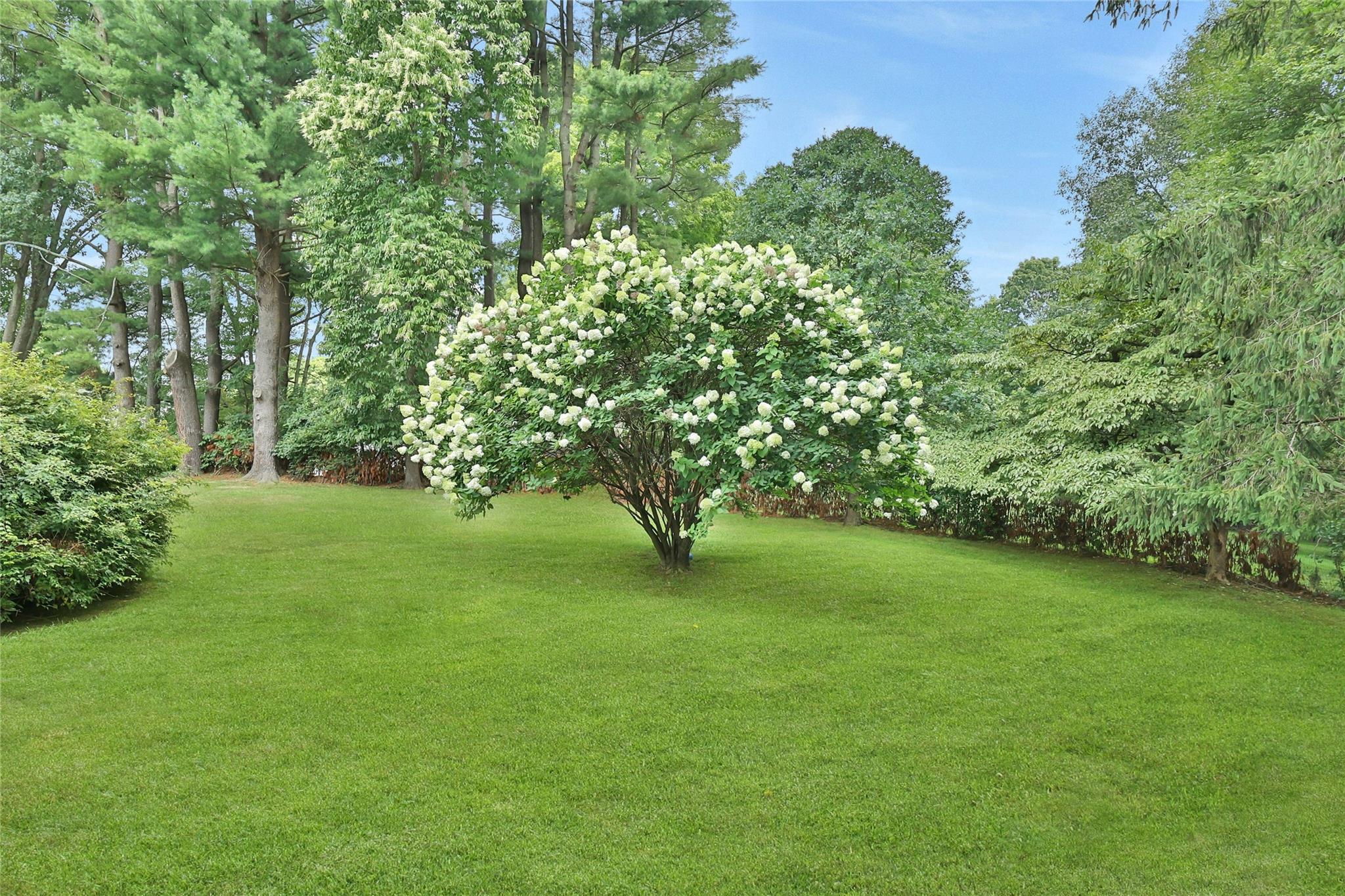 6 Noyes Road, Mount Kisco, New York image 38