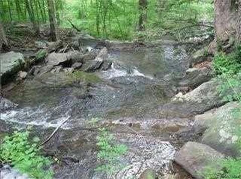 6 Thompson Drive Staatsburg NY 12580