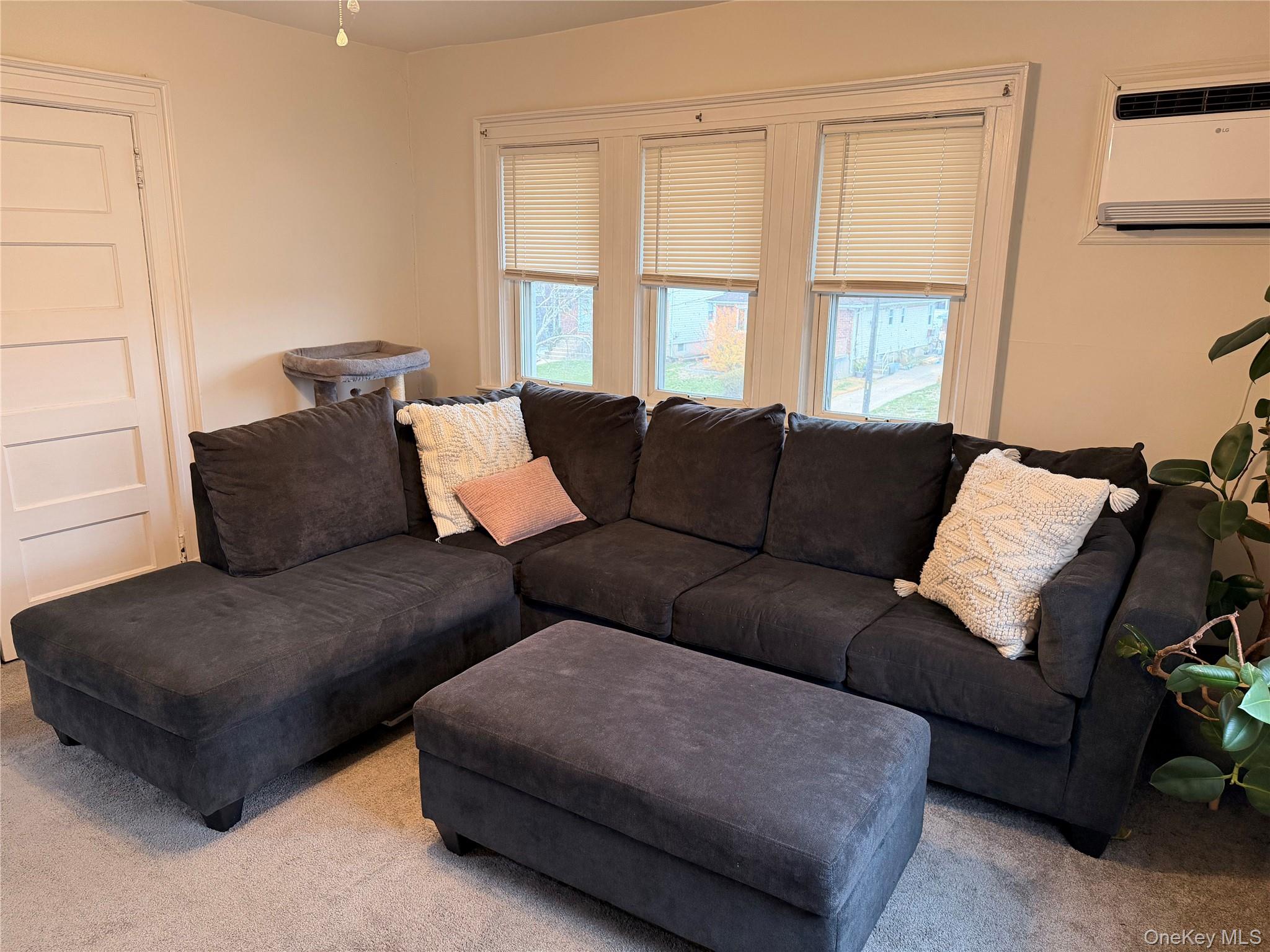 65 W Windsor Parkway