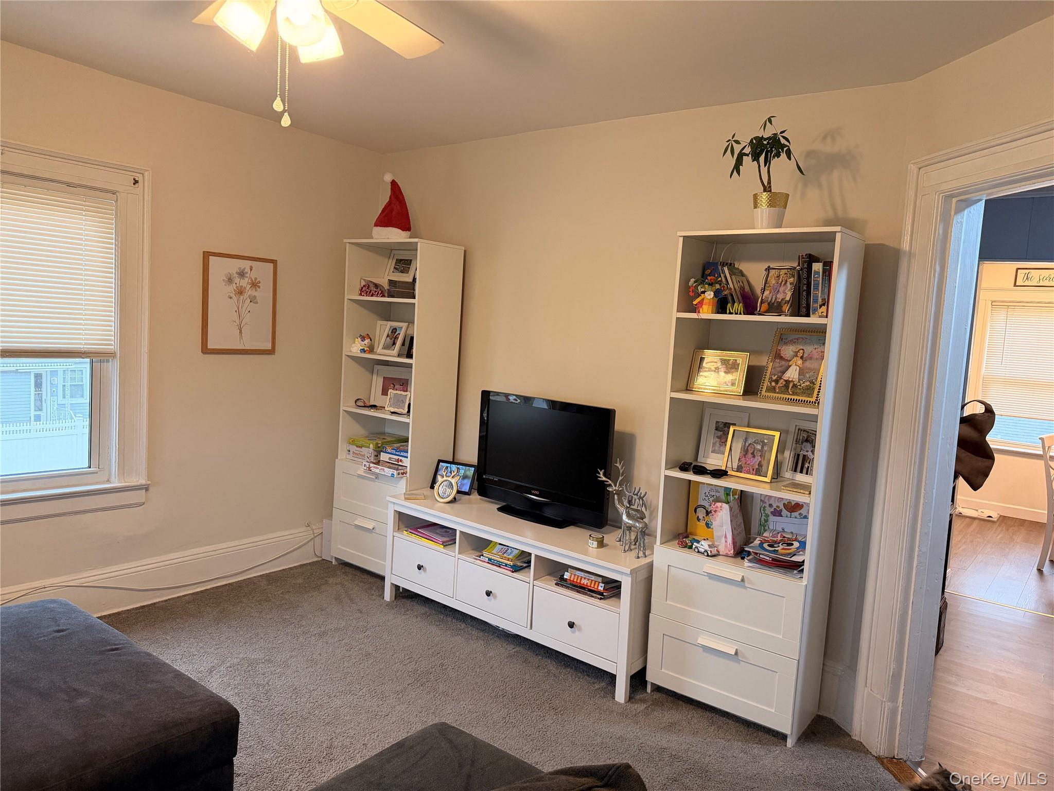 65 W Windsor Parkway