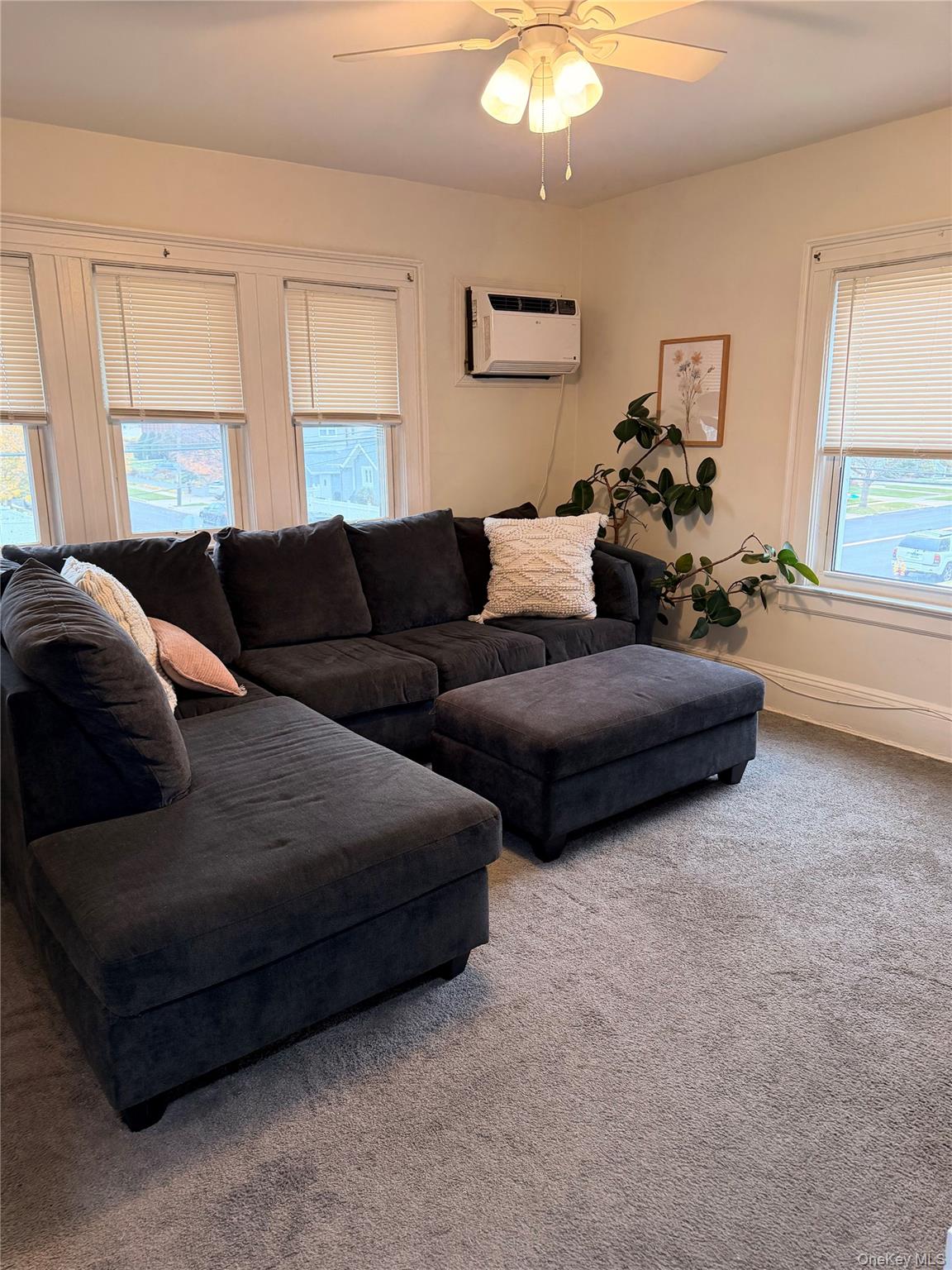 65 W Windsor Parkway